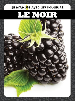 cover image of Le noir (Black)